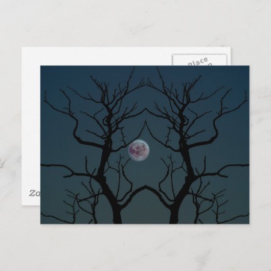Moonlight Tree Silhouette Briefkaart (Voorkant / Achterkant)