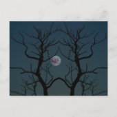 Moonlight Tree Silhouette Briefkaart (Voorkant)