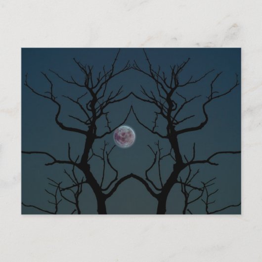 Moonlight Tree Silhouette Briefkaart (Voorkant)