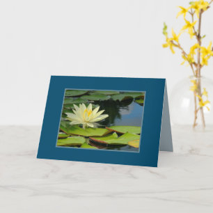 MOONLIGHT-YELLOW LOTUS BLOSSOM/BUDDHA QUOTE KAART