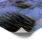 Moonlight Yucca Poster (Hoek)