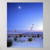 Moonlight Yucca Poster (Voorkant)