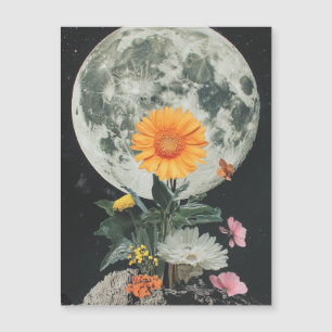 Moonlit bloeit over rustieke charme (2)