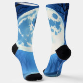 Moonlit Bond – The Wolf and the Gothic Fairy.   Sokken (Gebogen)