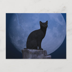 Moonlit Cat Briefkaart