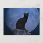 Moonlit Cat Briefkaart (Voorkant)