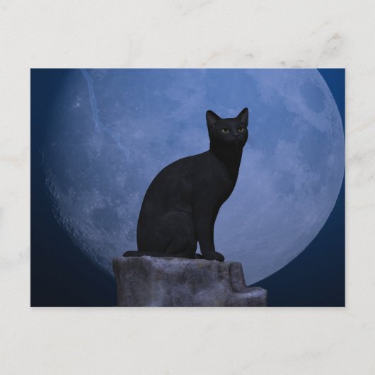 Moonlit Cat Briefkaart (Voorkant)