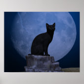Moonlit Cat Poster (Voorkant)