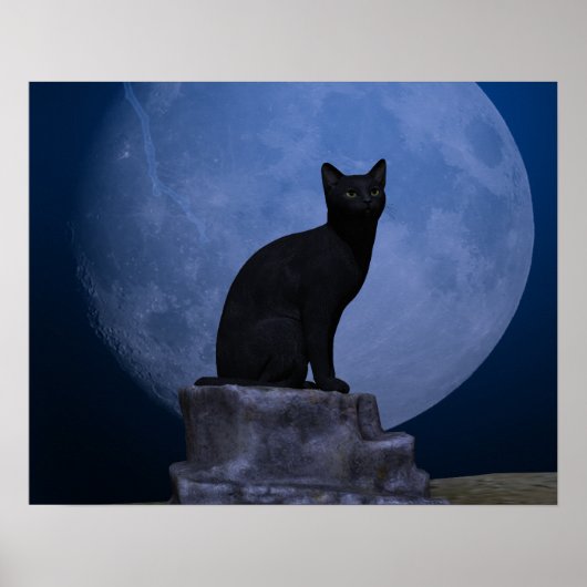 Moonlit Cat Poster (Voorkant)
