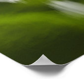 Moonlit Fox in Midnight Bossen Poster (Hoek)