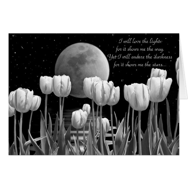 Moonlit Garden (Voorkant Horizontaal)