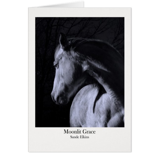 Moonlit Grace (Voorkant)