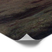 Moonlit Landschap Poster (Hoek)