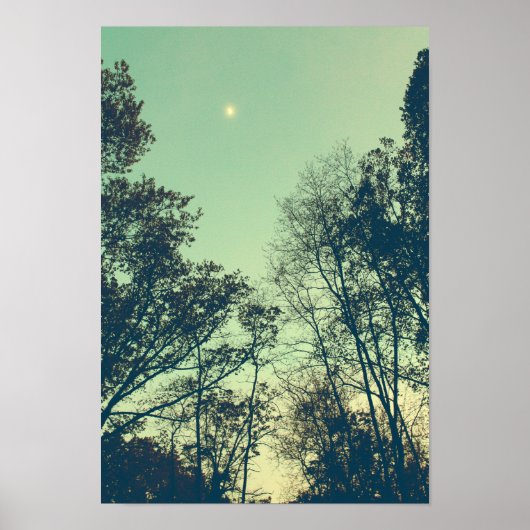  Moonlit nacht Poster (Voorkant)