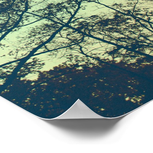  Moonlit nacht Poster (Hoek)