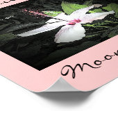 Moonlit Night Haiku Art Print (Hoek)