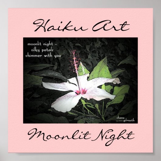 Moonlit Night Haiku Art Print (Voorkant)