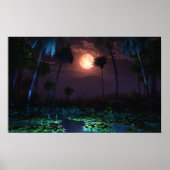 Moonlit Oasis (Illume) Poster (Voorkant)