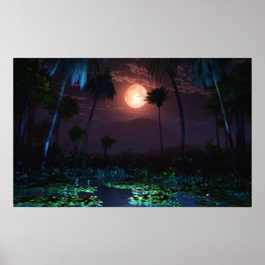 Moonlit Oasis (Illume) Poster (Voorkant)