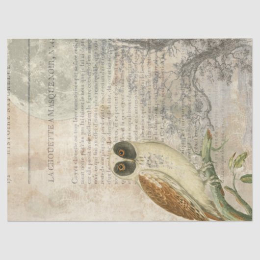 Moonlit Owl Decoupage Tissue Paper Tissuepapier (Voorkant)