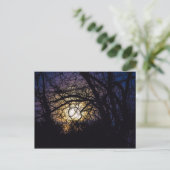 Moonlit Trees, Ohio Briefkaart (Staand voorkant)