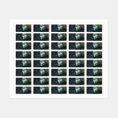 Moonlit Vrouw 3D Kunst Labels (Vel)