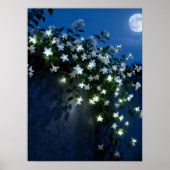 Moonlit White Flowers Vine Art Poster (Voorkant)