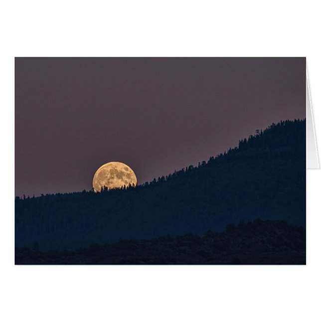 MOONRISE (Voorkant Horizontaal)