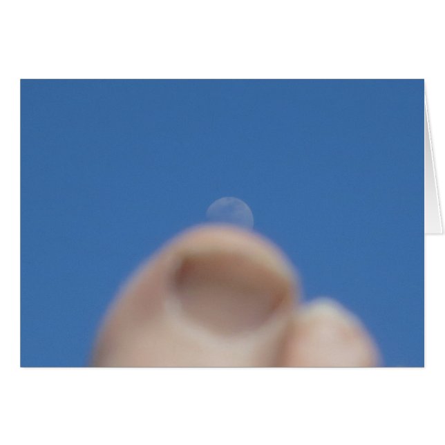 Moonrise 2014 (Voorkant Horizontaal)