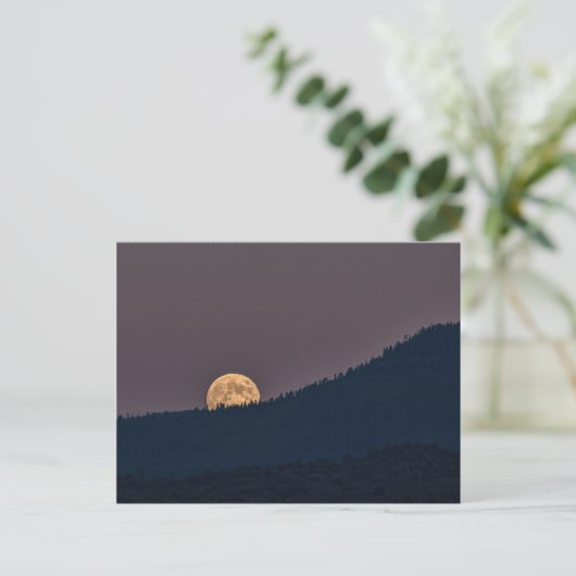 MOONRISE BRIEFKAART (Staand voorkant)