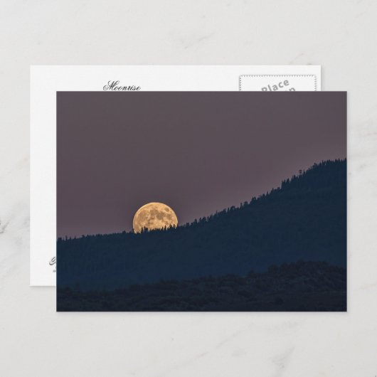 MOONRISE BRIEFKAART (Voorkant / Achterkant)