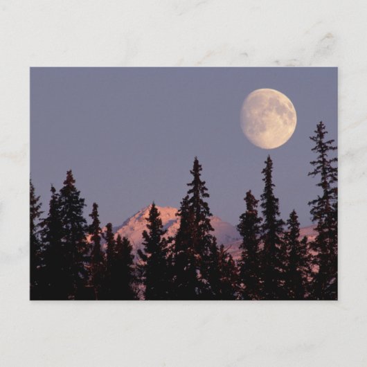 Moonrise Early Winter | Anchorage, Alaska Briefkaart (Voorkant)