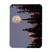Moonrise Early Winter | Anchorage, Alaska Magneet (Verticaal)