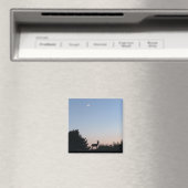 Moonrise magische magneet (Insitu (Vaatwasser))