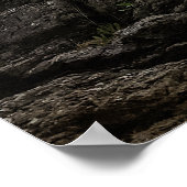 Moonrise over de San Juan-eilanden Poster (Hoek)