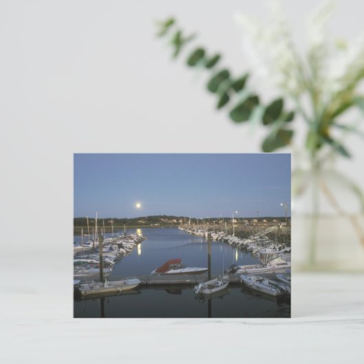 Moonrise over Wellfleet Harbour Cape Cod Briefkaart (Staand voorkant)