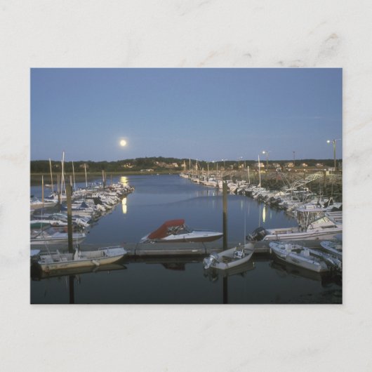 Moonrise over Wellfleet Harbour Cape Cod Briefkaart (Voorkant)