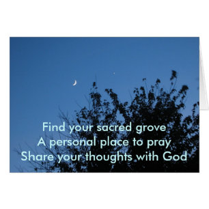 Moonrise Sacred Grove