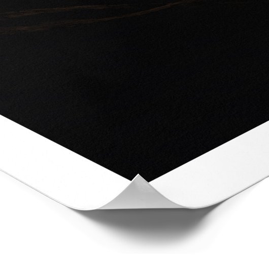 Moonschaduw Poster (Hoek)