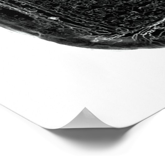 Moonshine Bottle Print (Hoek)