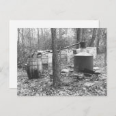 Moonshine Nog in de Bossen, 1931 Briefkaart (Voorkant / Achterkant)