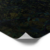 Moonshrooms Poster (Hoek)