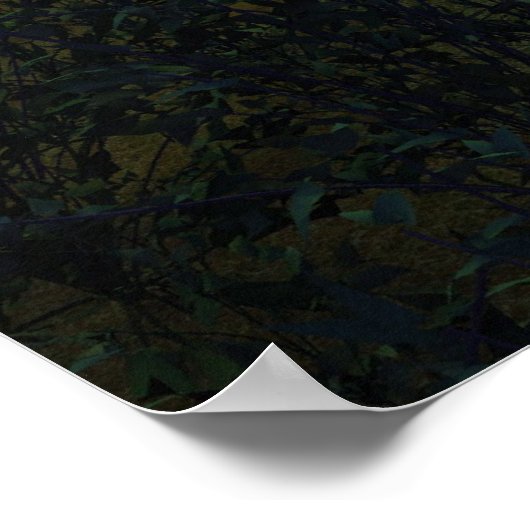 Moonshrooms Poster (Hoek)