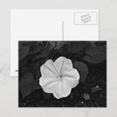 Moonventilator Briefkaart (Voorkant / Achterkant)