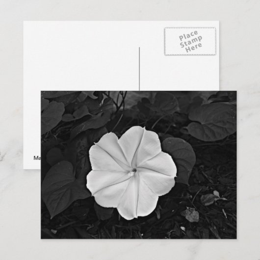 Moonventilator Briefkaart (Voorkant / Achterkant)