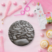 Moonverlichte kobblepels papieren bordje (Feest)