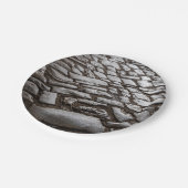 Moonverlichte kobblepels papieren bordje (Gekanteld)