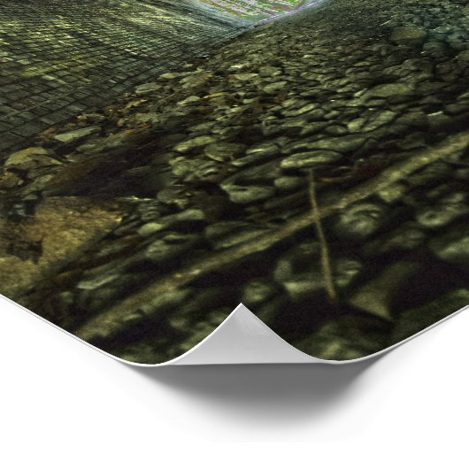 Moonville Tunnel, Ohio Poster (Hoek)