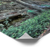 Moonville Tunnel, Vinton County, Ohio Poster (Hoek)