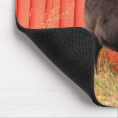 Mooooo Muismat (Hoek)